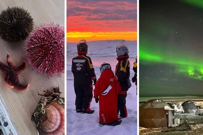 Боярская поделилась впечатлениями от путешествия в Арктику