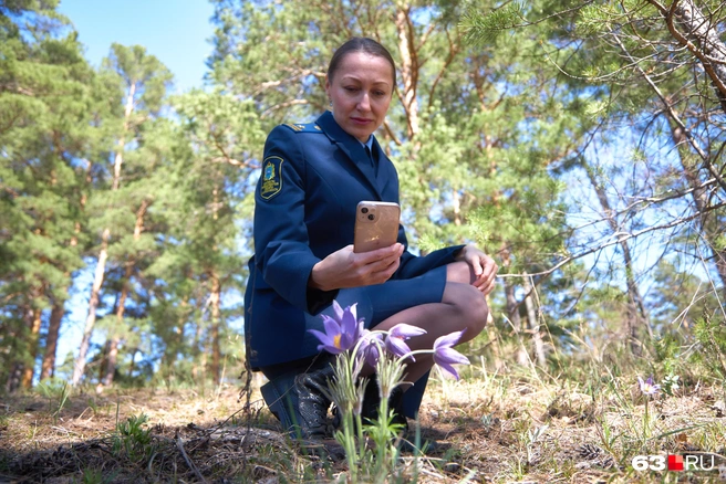 Лучше сфотографировать: тогда прекрасный цветок останется в вашей ленте навсегда | Источник: Роман Данилкин / 63.RU