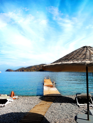 Источник: Архивы пресс-служб