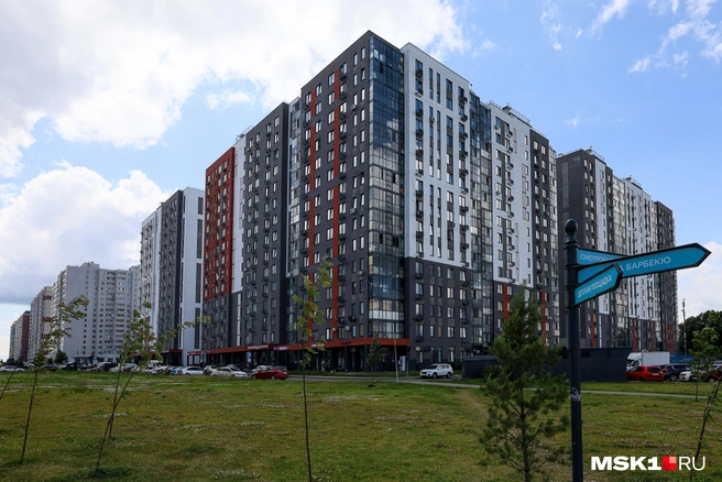 Жители домов в Новых Ватутинках порой видят коней «в городе» | Источник: Артем Устюжанин / MSK1.RU