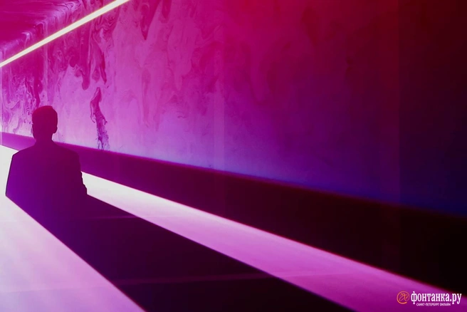 Источник: Дарья Драй / FONTANKA.RU