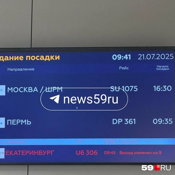 Время посадки на борт до Перми переносили | Источник: Читатель 59.RU