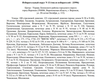 Источник: избирательная комиссия Воронежской области / Voronezh.izbirkom.ru