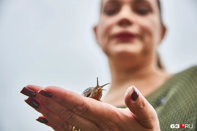 Несмотря на выражение «ползешь как улитка», вообще-то улитки довольно шустрые | Источник: Роман Данилкин / 63.RU