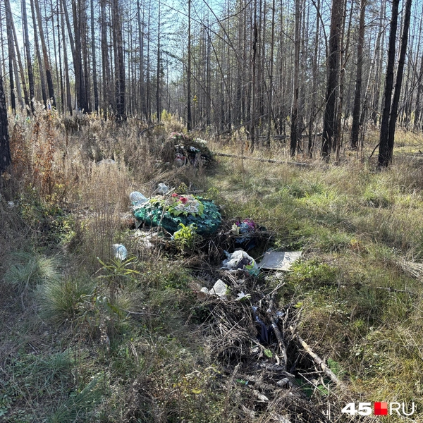 Источник: Кирилл Митин