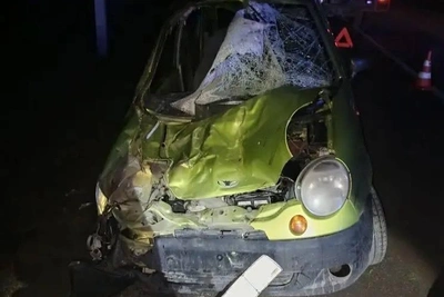 Лошадь пробила лобовое стекло в аварии на Ставрополье