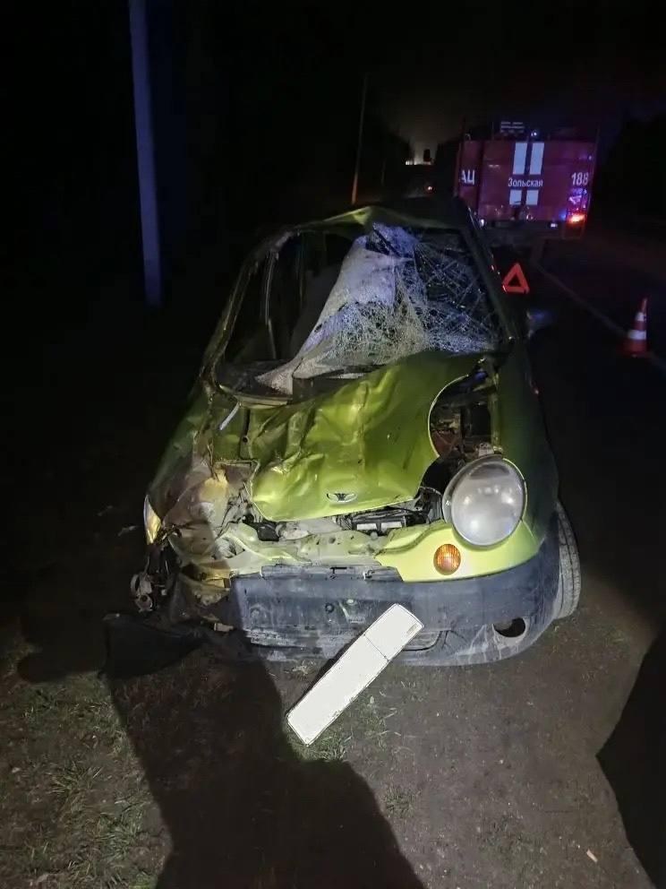 На Ставрополье лошадь пробила лобовое стекло легковушки во время ДТП