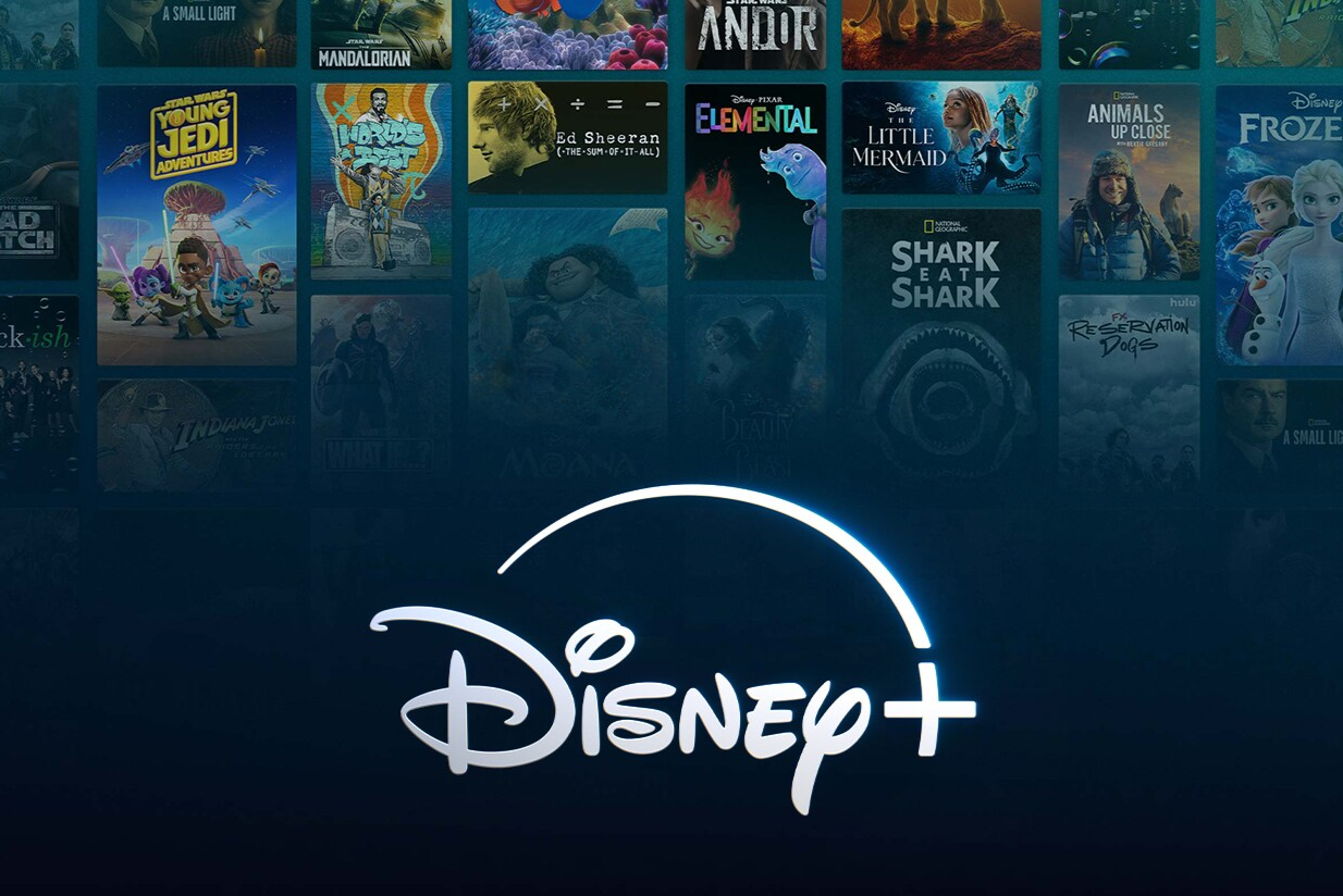      : Walt Disney, Universal  Warner Bros    