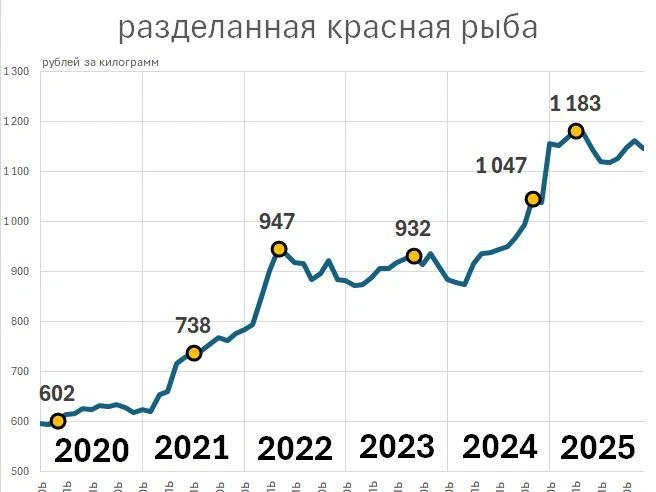 Источник: «Фонтанка.ру»