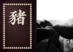 Год Лошади 2026: прогноз для Свиньи