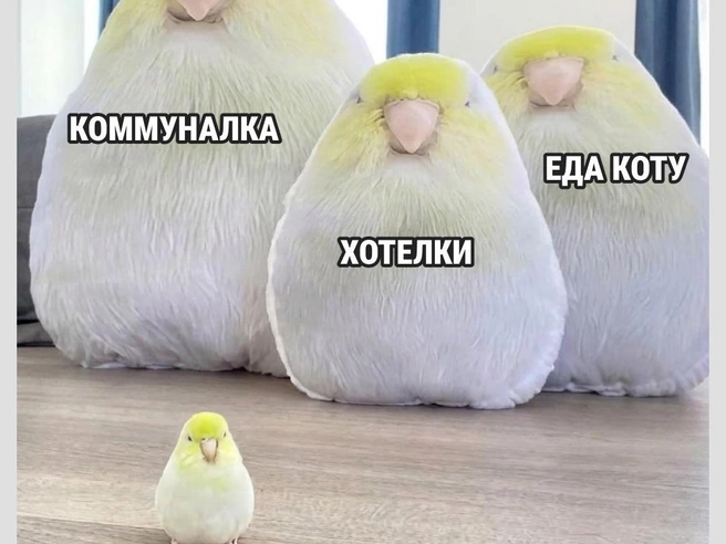 А как жить по средствам?  | Источник: Городские медиа
