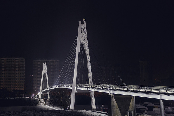 Павшинский пешеходный мост в Красногорске