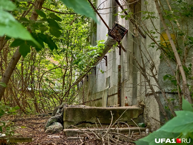 За баней давно никто не ухаживал. Печально | Источник: Булат Салихов / UFA1.RU
