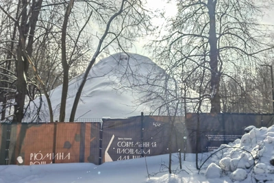 Рязанцы просят Путина остановить вырубку в ЦПКиО