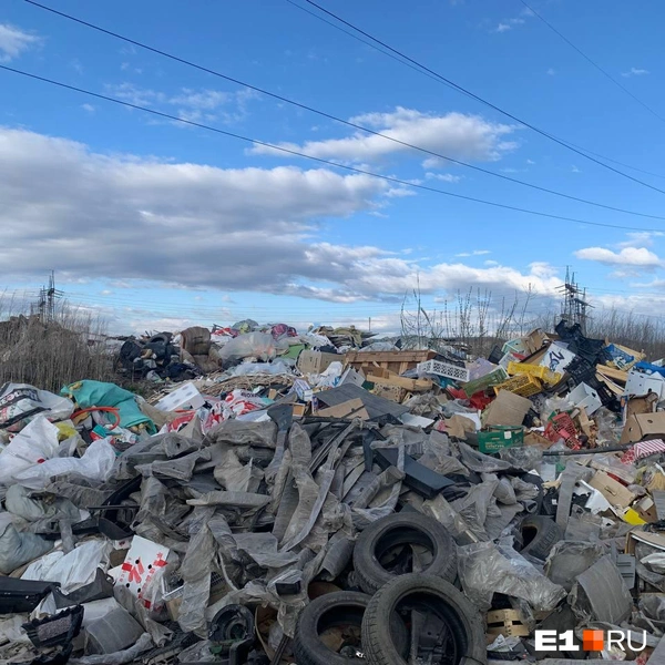 Источник: читатель E1.RU