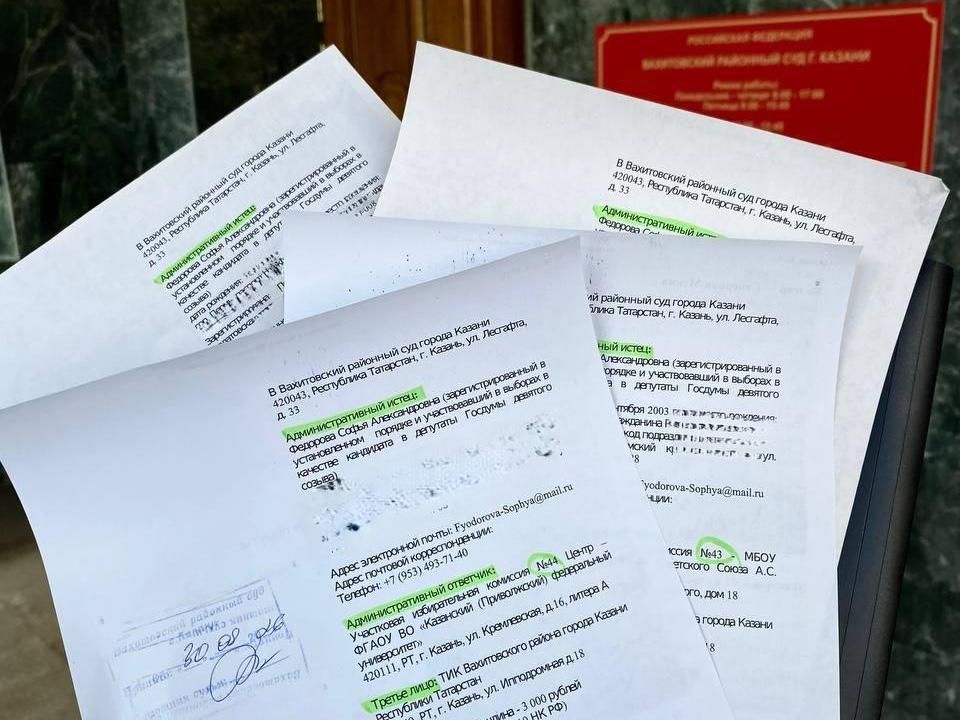 В Казани кандидатка от «Яблока» подала в суд на избиркомы, потребовав отменить итоги выборов в Госд…