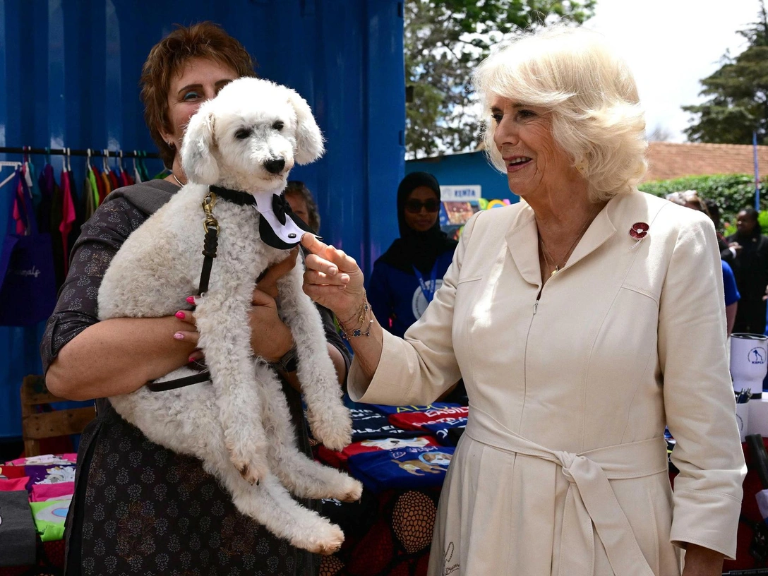 Королева Камилла на ярмарке в Кении, 1 ноября 2023 год | marieclaire.ru