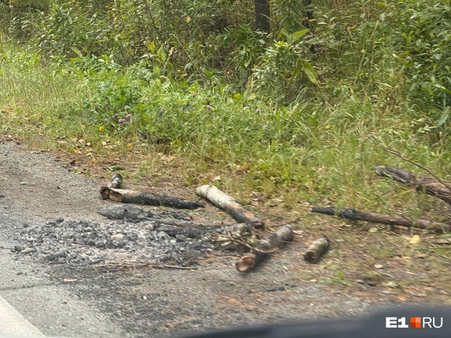 Источник: Дарья Костомина / E1.RU