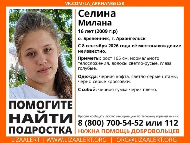 Источник: lizaalert.ru