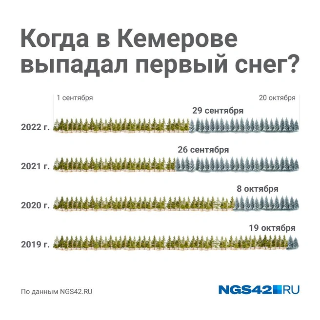 Источник: Полина Авдошина / NGS42.RU