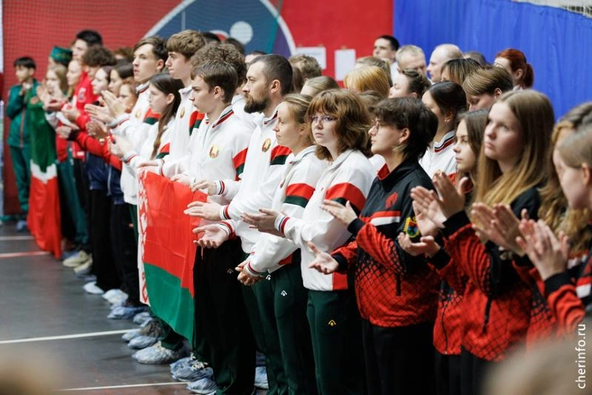 Источник: st.cherinfo.ru