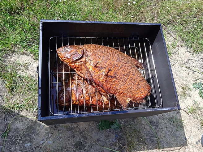 Свежая, правильно приготовленная рыба не только вкусна, но и крайне полезна | Источник: Дмитрий Сильнов / 173. RU