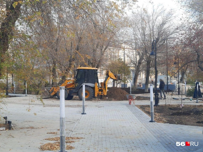 Источник: Анастасия Баринова / 56.RU