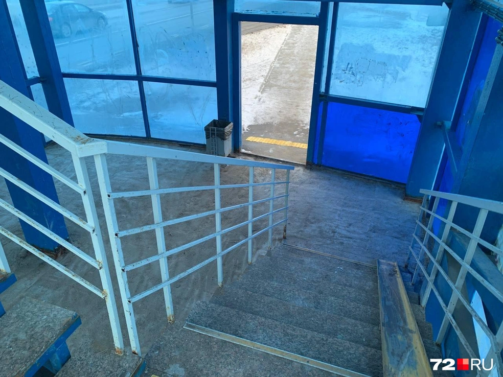 Вживую выглядит очень неприятно | Источник: Никита Кифорук / 72.RU