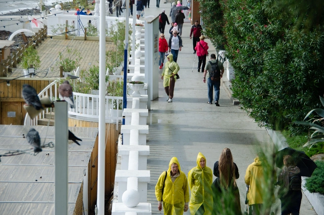 Дождевики&nbsp;— самая популярная одежда в Сочи, подходящая как для зимы, так и для лета | Источник: Оксана Витязь 