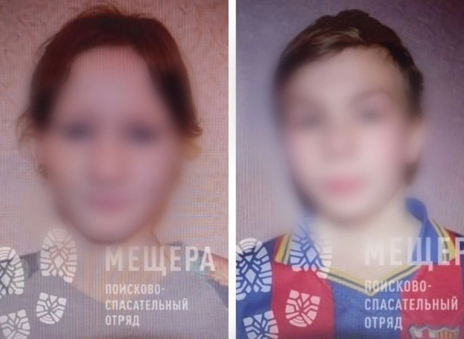 Пропавшие в Касимовском районе подростки найдены | ya62.ru