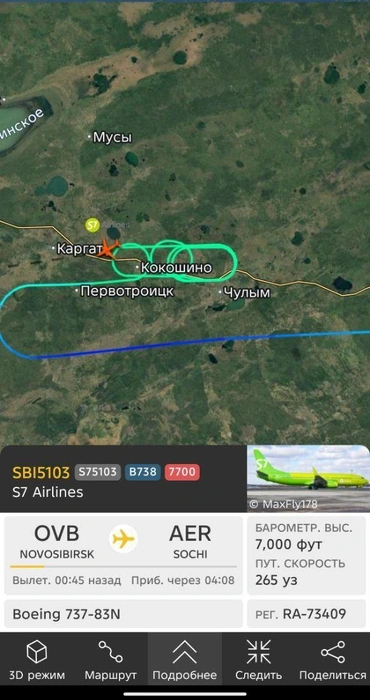 По сайту видно, что самолет продолжает кружить еще 20 минут | Источник: flightradar24