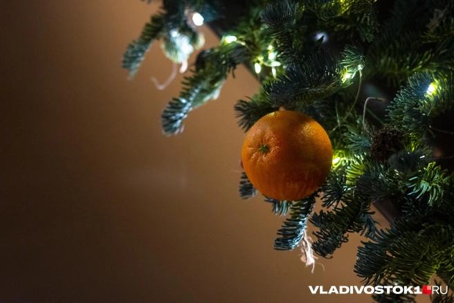 Источник: Елена Буйвол / VLADIVOSTOK1.RU