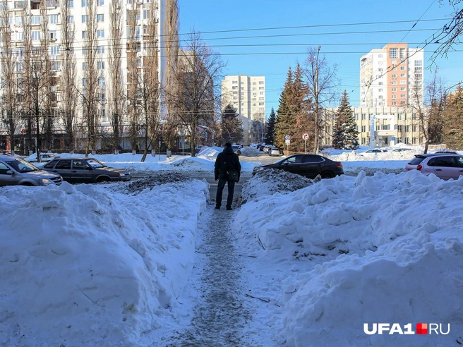 Зимой 2022 года коммунальщики едва успевали убирать снег в городе | Источник: Тимур Шарипкулов / Городские медиа