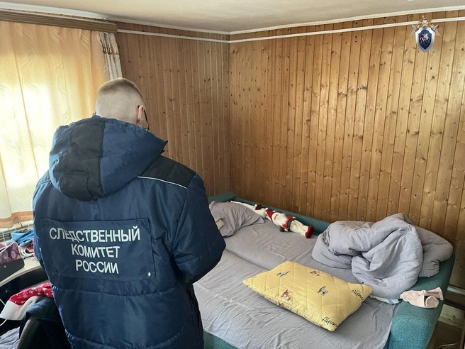 В Амурской области мать задержана по подозрению в убийстве шестилетнего сына | Источник: СУ СК РФ по Амурской области