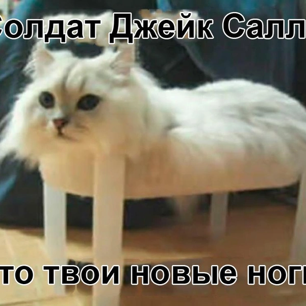 Источник: соцсети