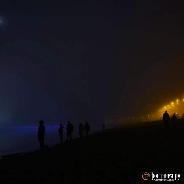 Источник: Марина Мамонтова / «Фонтанка.ру»