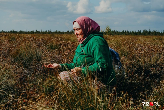 Ягоды — основной заработок жителей Заболотья. В селах работа низкооплачиваемая и денег на жизнь не хватает | Источник: Анастасия Малышкина/ 72.RU