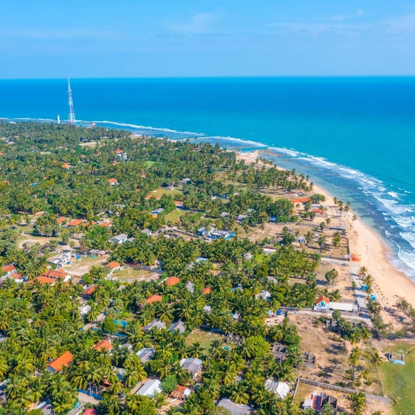 Источник: trabantos/Shutterstock/Fotodom.ru