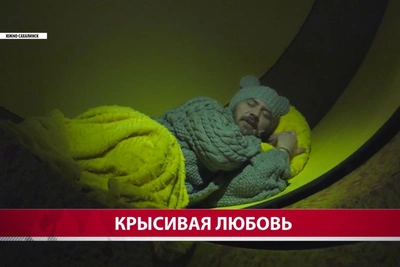 Чехов-центр поставил историю о мышиной любви