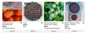 Репис — ягода редкая | Источник: Avito.ru