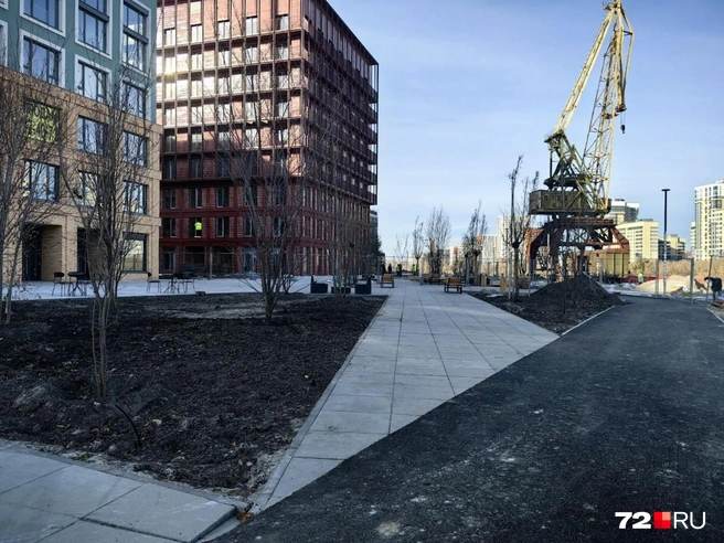 Поворачиваем голову на 180 градусов и видим кран | Источник: Павел Красоткин / 72.RU 