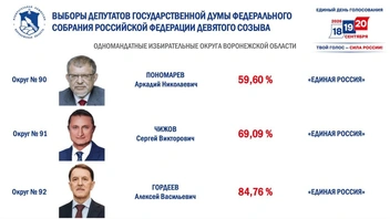 Источник: ИЗБИРКОМ Воронежской области / T.me