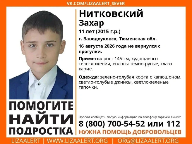 Источник: Поисковый отряд «ЛизаАлерт» Тюменской области / Vk.com