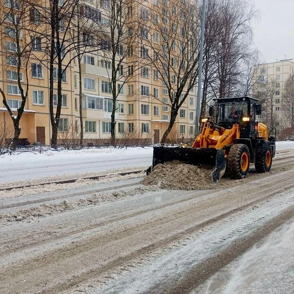 Источник: Комитет по благоустройству Петербурга