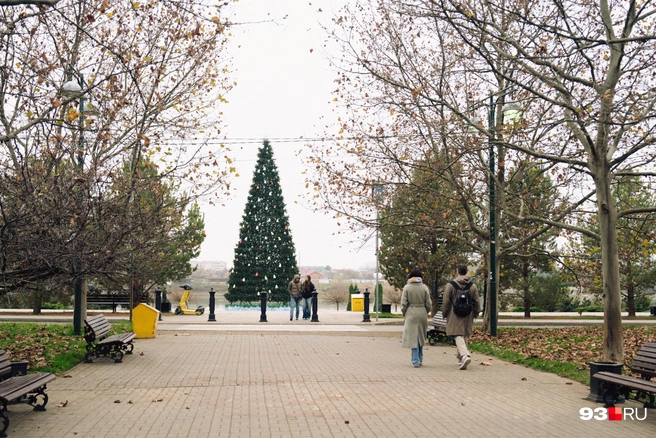 Каждый год на набережной устанавливают новогоднюю елку | Источник: Дарья Паращенко / 93.RU