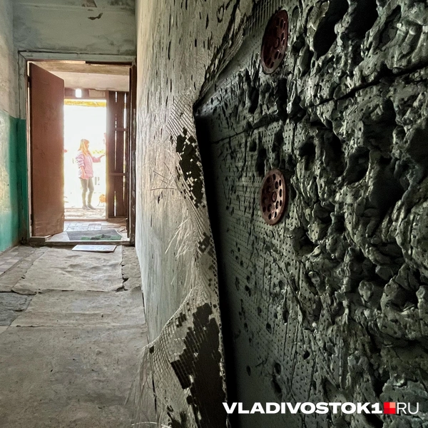 Источник: Елена Буйвол / VLADIVOSTOK1.RU