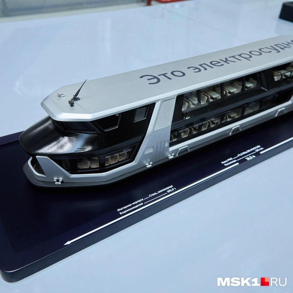 Источник: Дмитрий Толстошеев / MSK1.RU