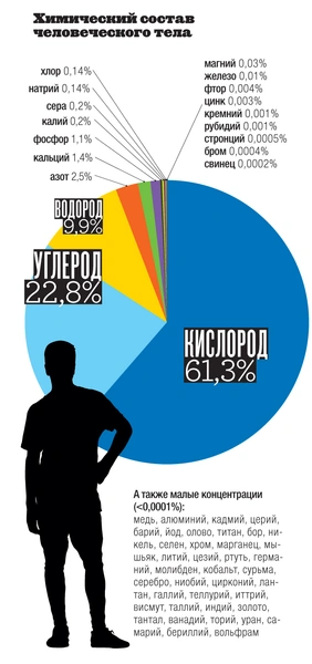 Инфографика: водные процедуры