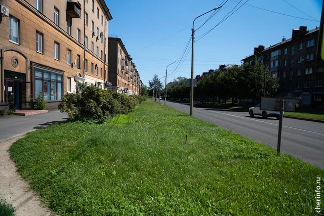 Источник: st.cherinfo.ru