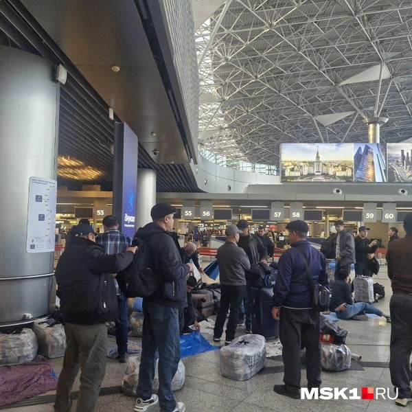 Источник: Софья Рябикина / MSK1.RU